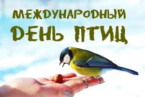 Конспект образовательной деятельности на тему: «День птиц»