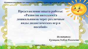 Представление опыта работы: «Развитие интеллекта дошкольников через различные виды дидактических игр и пособий»