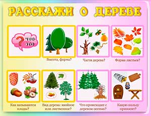 Конспект НОД по развитию лексико-грамматической стороны речи в старшей группе компенсирующей направленности. Лексическая тема: «Деревья»