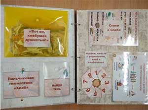 Использование технологии лэпбук в коррекционно-логопедической работе с детьми старшего дошкольного возраста с общим недоразвитием речи