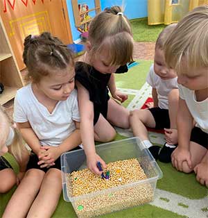 «Речевое развитие детей 3–4 лет посредством игр с сенсорной коробкой»