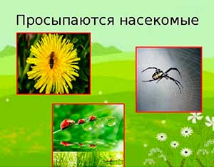 Конспект интегрированного коррекционного занятия в группе компенсирующей направленности для детей с ЗПР «Весеннее пробуждение. Спасение насекомых»