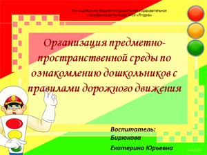 Проект Организация предметно-пространственной среды по ознакомлению дошкольников с правилами дорожного движения