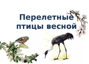 Конспект занятия по развитию речи в старшей группе «Весна. Перелётные птицы»
